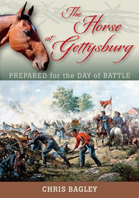 The Horse at Gettysburg