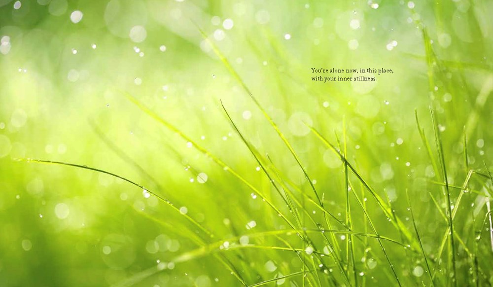 F*ck That: An Honest Meditation