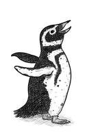 The Penguin Lessons