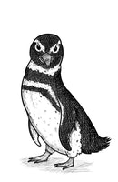The Penguin Lessons