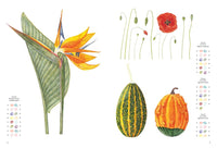 Flowers: The Watercolor Art Pad