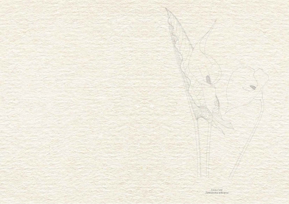 Flowers: The Watercolor Art Pad