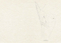 Flowers: The Watercolor Art Pad