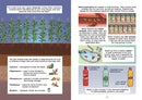 Science Comics: The Digestive System