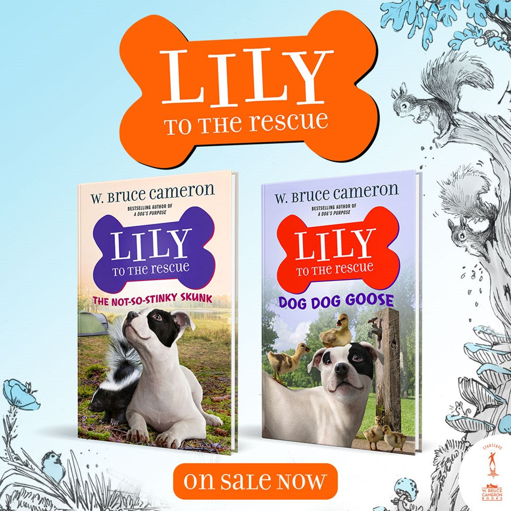 Lily to the Rescue: Dog Dog Goose
