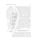 Breathing for Warriors