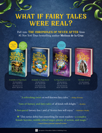 Never After: The Stolen Slippers