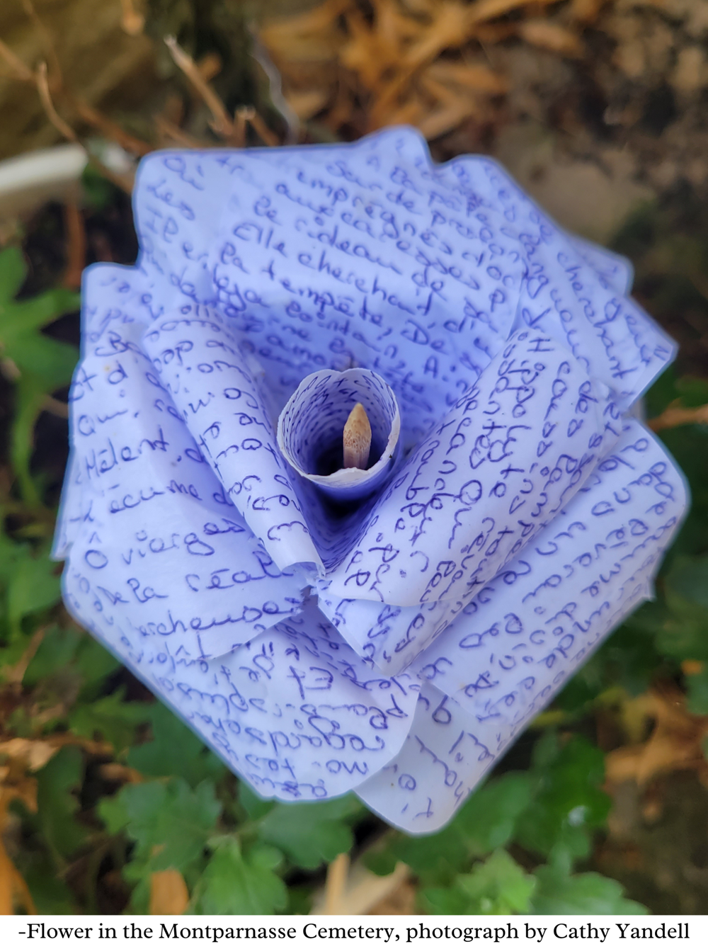 The French Art of Living Well