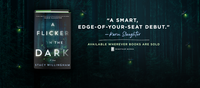 A Flicker in the Dark: A Novel