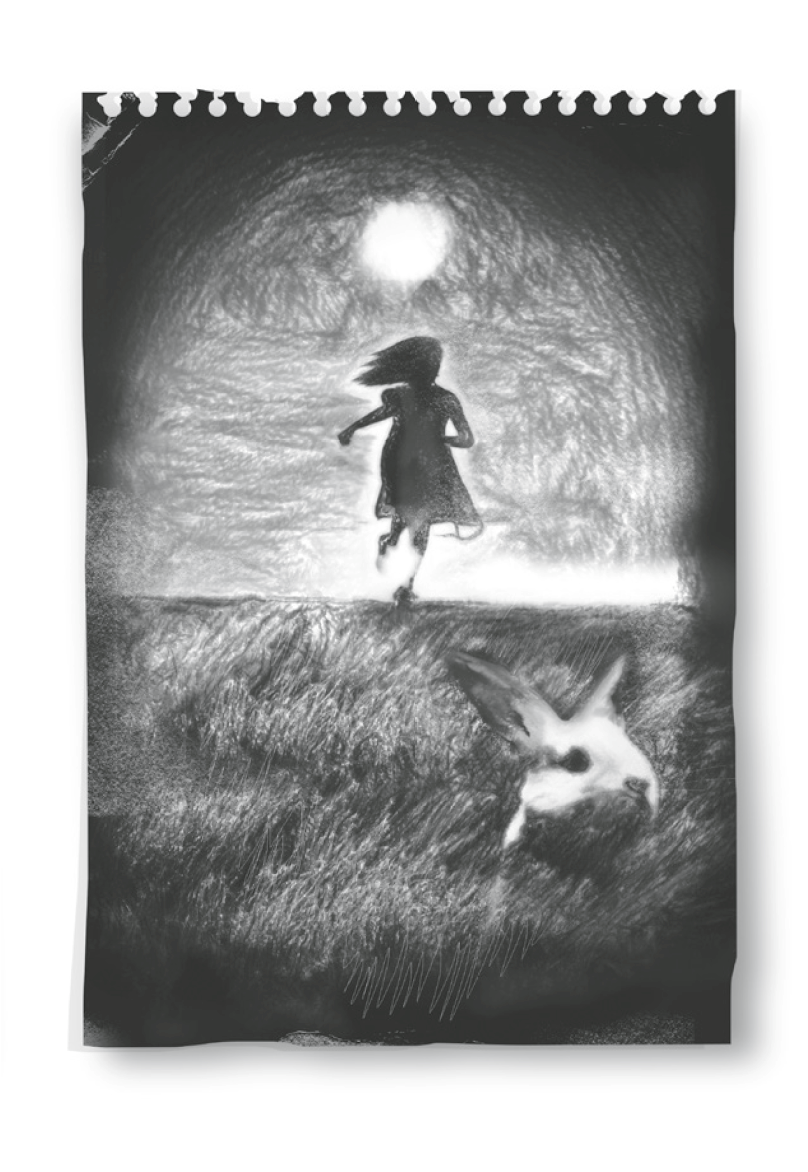 Hidden Pictures: A Novel