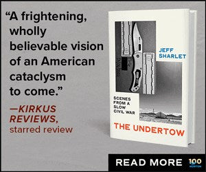 The Undertow: Scenes from a Slow Civil War