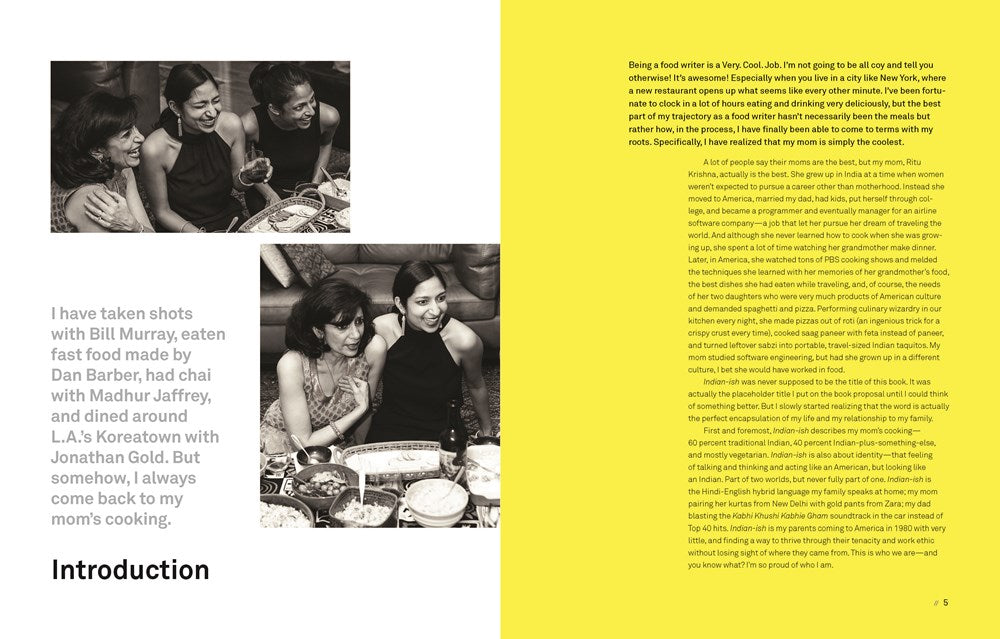 Indian-Ish: Recipes and Antics from a Modern American Family