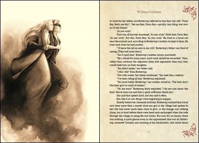 The Princess Bride Deluxe Edition Hc: S. Morgenstern's Classic Tale of True Love and High Adventure