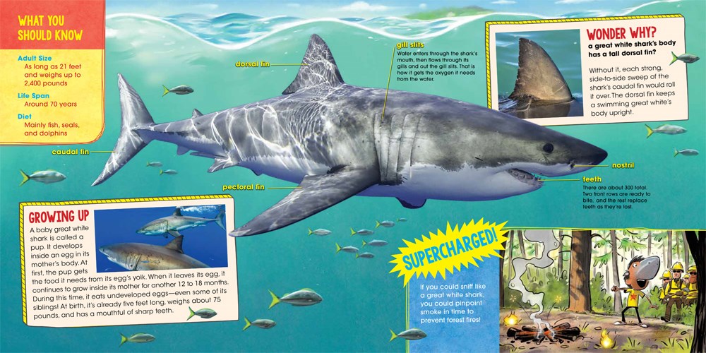 What If You Could Sniff Like a Shark?: Explore the Superpowers of Ocean Animals