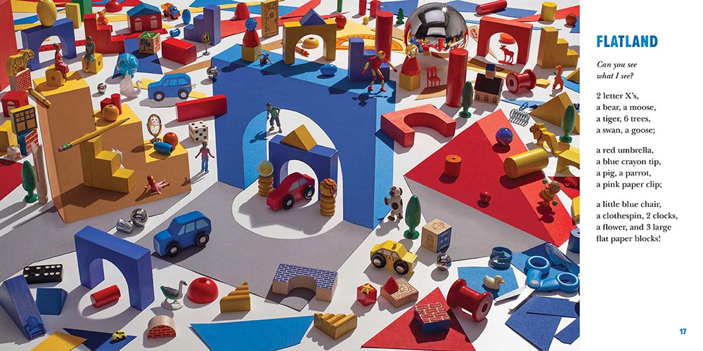 Can You See What I See?: Hidden Wonders (From the Co-Creator of I Spy)