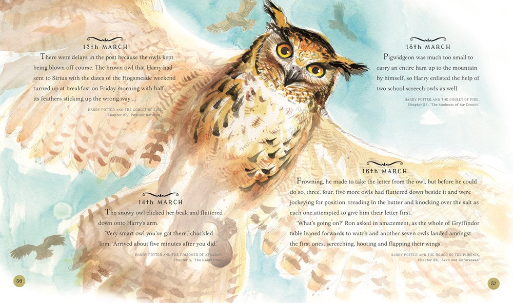 Harry Potter: A Magical Year -- The Illustrations of Jim Kay