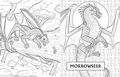 Official Wings of Fire Coloring Book