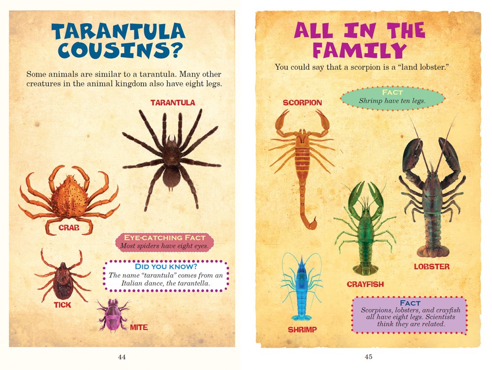 Who Would Win?: Fiercest Feuds