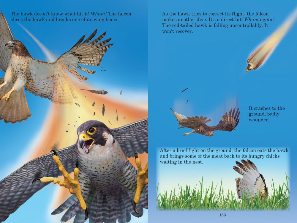 Who Would Win?: Fiercest Feuds