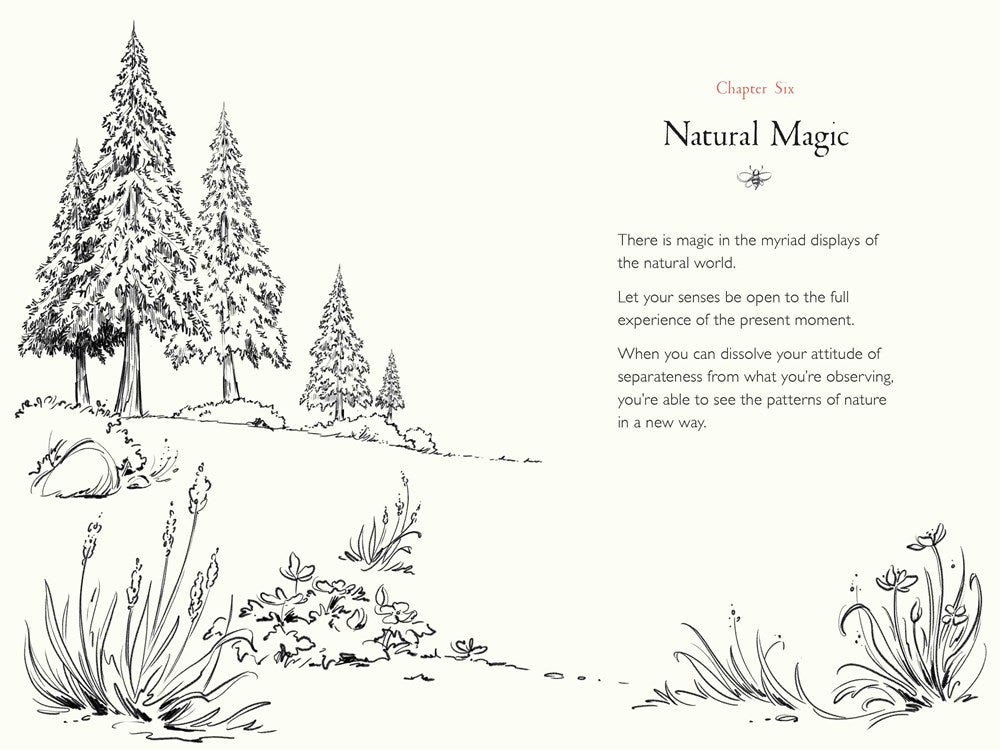 A Walk in the Wood: Meditations on Mindfulness with a Bear Named Pooh (Media tie-in)