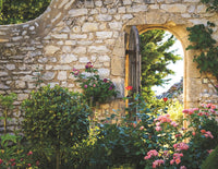 No Woman Left Behind Guided Journal: A Journey to Breaking Up with Your Fears and Revolutionizing Your Life (A Woman Evolve Experience)