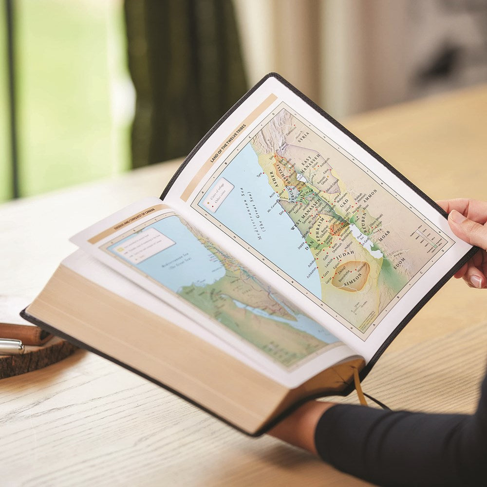 KJV Holy Bible: Large Print with 53,000 Center-Column Cross References, Pink Leathersoft, Red Letter, Comfort Print: King James Version