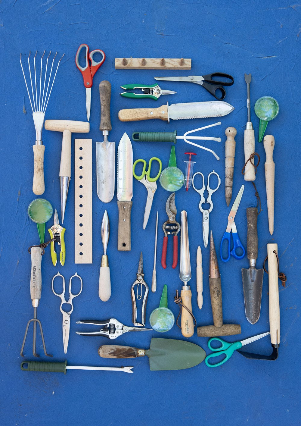 Leaves, Roots & Fruit: A Step-by-Step Guide to Planting an Organic Kitchen Garden