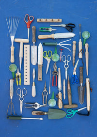 Leaves, Roots & Fruit: A Step-by-Step Guide to Planting an Organic Kitchen Garden