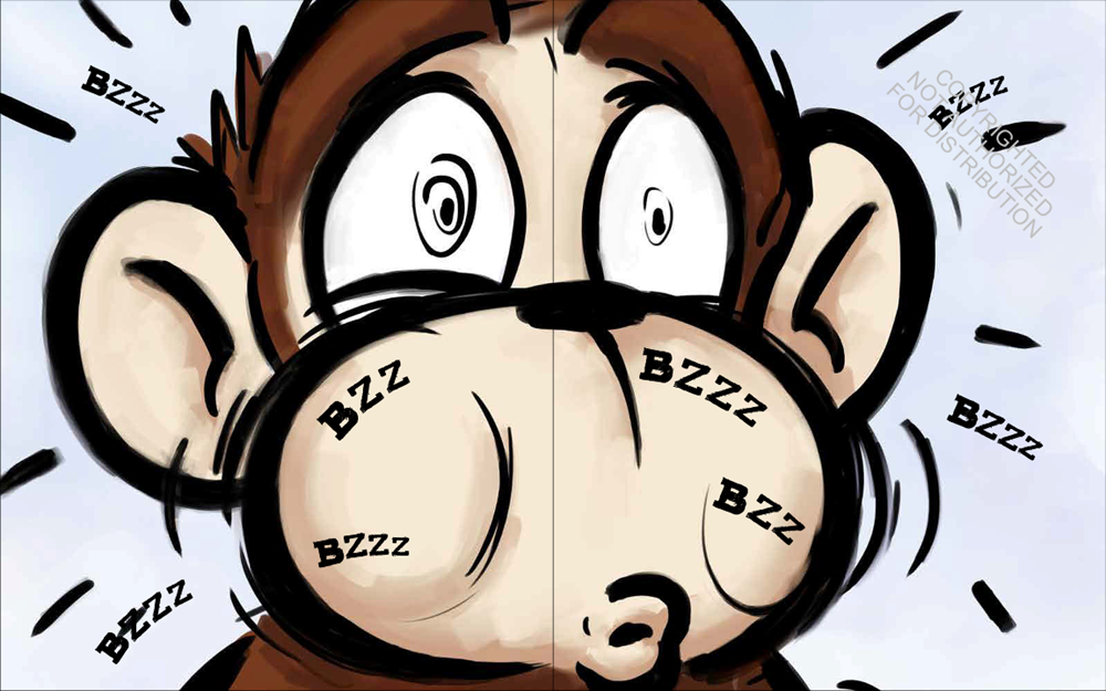 The Monkey and the Bee