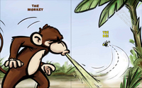 The Monkey and the Bee