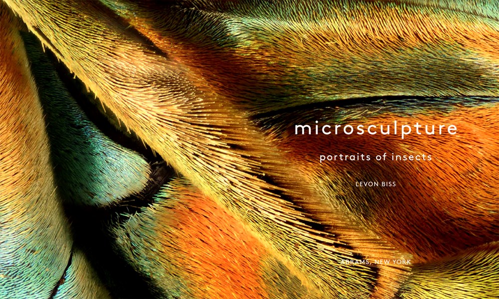Microsculpture
