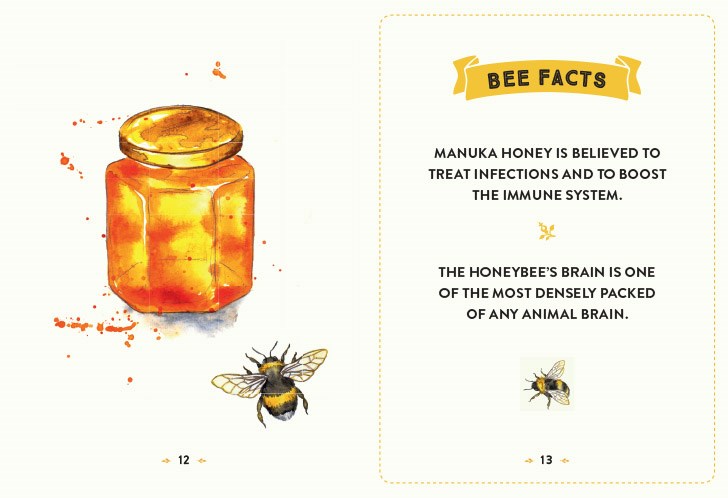 The Little Book of Bees