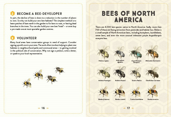 The Little Book of Bees