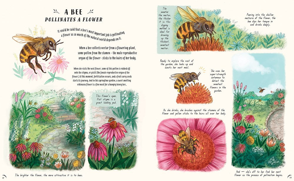 Slow Down: 50 Mindful Moments in Nature