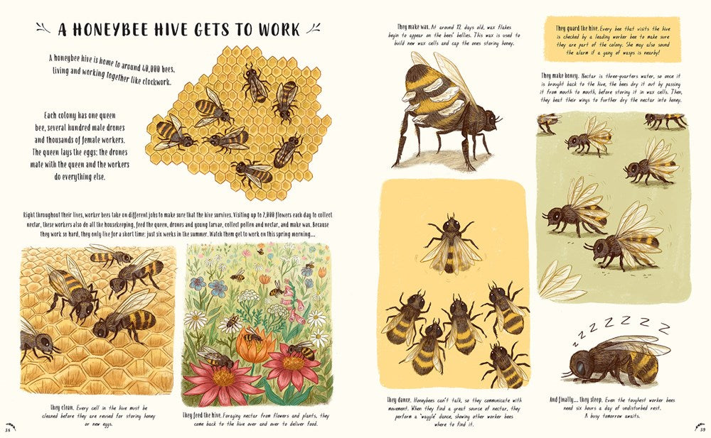 Slow Down: 50 Mindful Moments in Nature