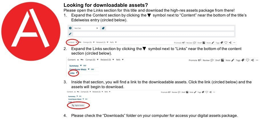 Big Shot (Diary of a Wimpy Kid Book 16)