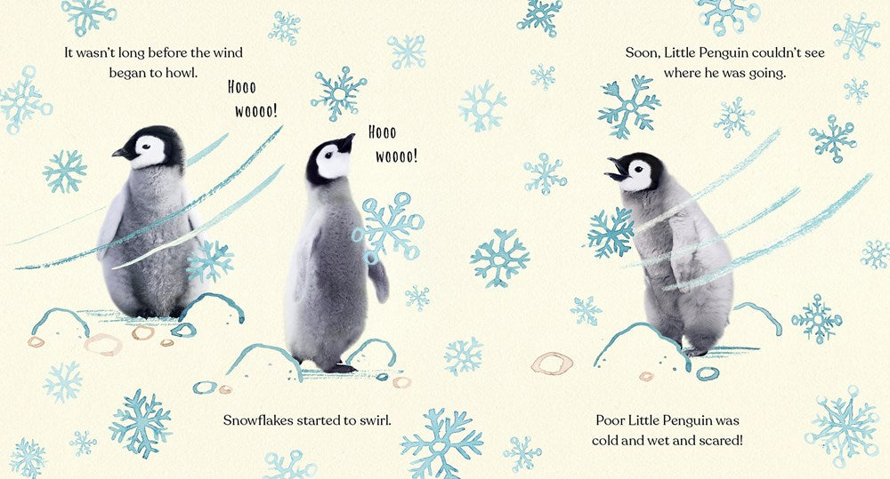 Goodnight, Little Penguin