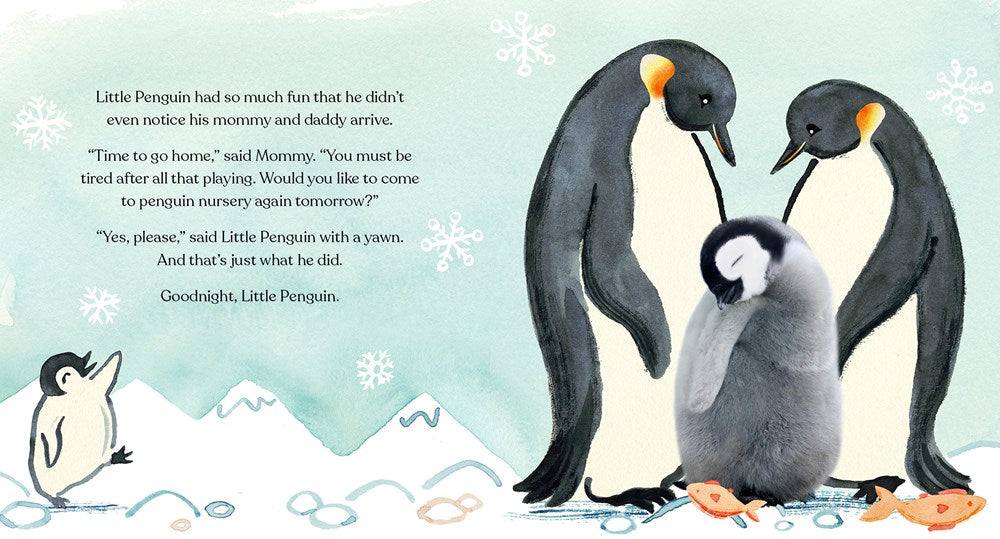 Goodnight, Little Penguin