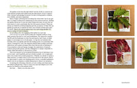 Color In and Out of the Garden