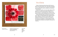 Color In and Out of the Garden