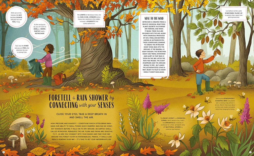 The Secret Signs of Nature