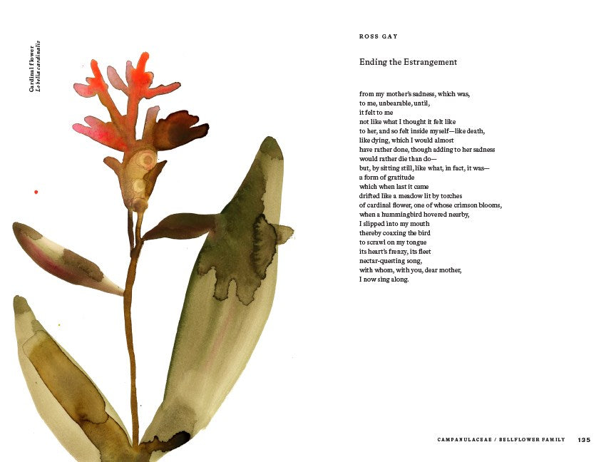 American Wildflowers: A Literary Field Guide