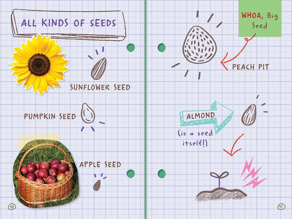 All About Plants! (Ada Twist, Scientist: The Why Files #2)
