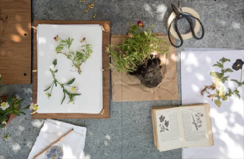 The Modern Flower Press