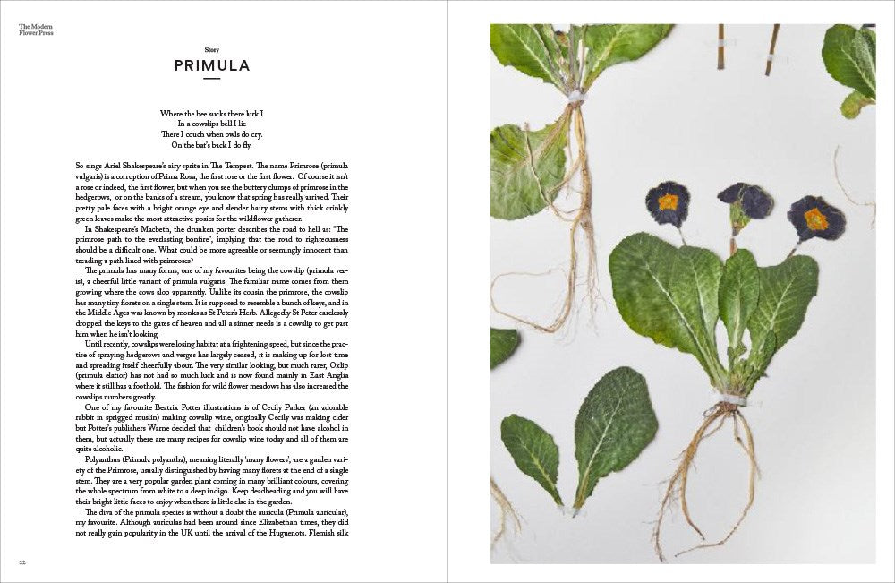 The Modern Flower Press