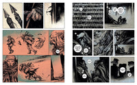 The Road: A Graphic Novel Adaptation