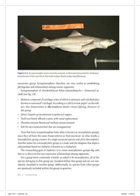Shark Biology and Conservation