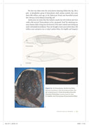 Shark Biology and Conservation