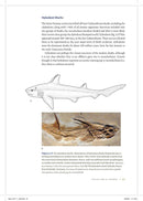 Shark Biology and Conservation