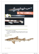 Shark Biology and Conservation